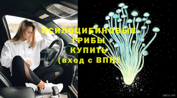spice Абаза