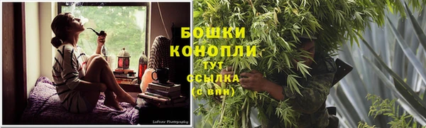 spice Абаза