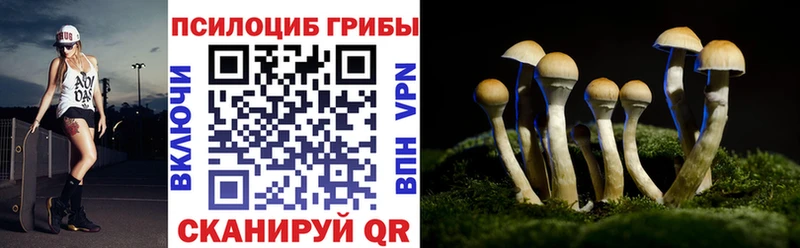 где найти Нягань Псилоцибиновые грибы Psilocybe
